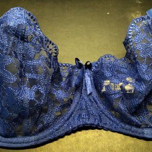 Sapphire Blue lacy Ewa Bien Bra (36E)